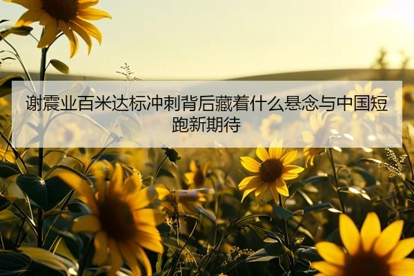 谢震业百米达标冲刺背后藏着什么悬念与中国短跑新期待